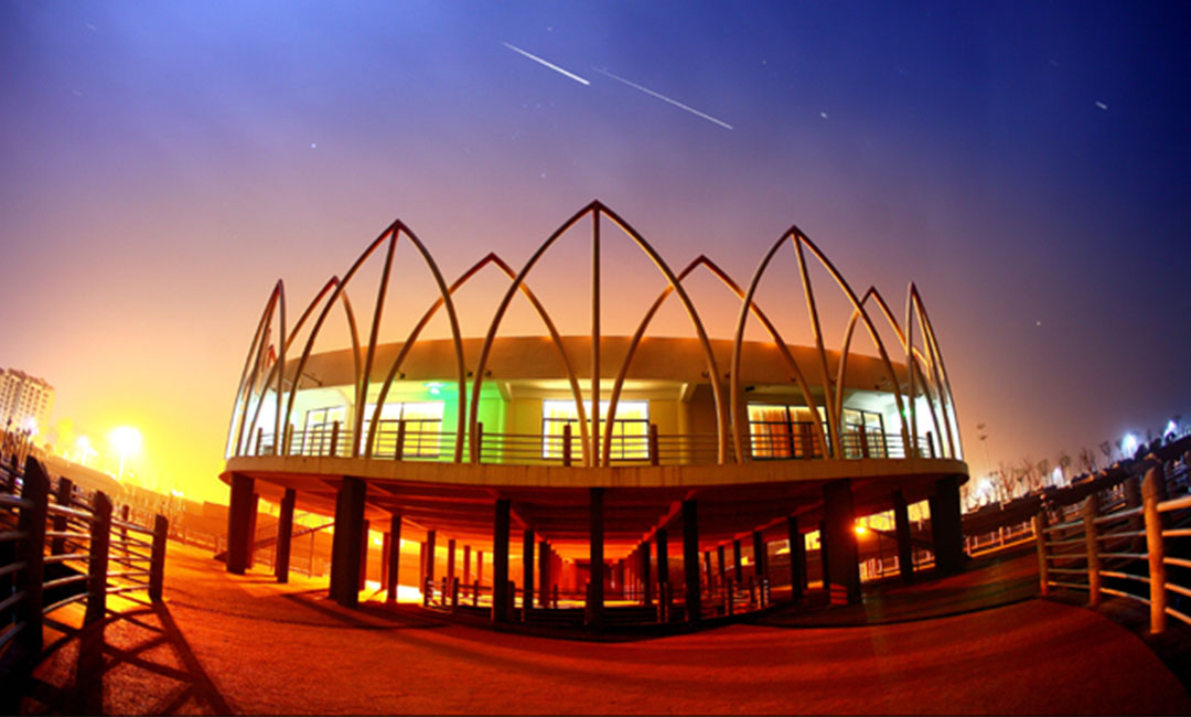 本地莲花广场活动策划案例